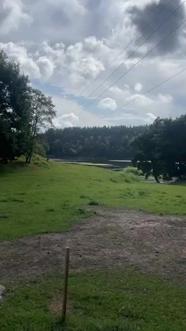 The video shows a serene landscape with a grassy field, trees, a body of water, and a cloudy sky. In the foreground, there is a dirt path with a small wooden stake and a few rocks. A large tree with dense foliage stands on the left side of the frame. The middle ground features a lush green field leading to a calm body of water. The background is dominated by a dense forest that stretches across the horizon. Power lines are visible stretching across the sky. The lighting suggests it is daytime, possibly overcast. There are no people or animals visible in the scene. The overall impression is one of natural beauty and tranquility.