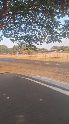 The video shows a road running in front of a dry, fenced pasture. The view is taken from what appears to be the hood of a car under a large, leafy tree. A few buildings are seen in the background across the pasture. An utility pole is visible against the horizon.