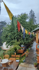 Rainy morning at a Himalayan glamping site in Prini