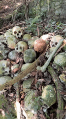 Ancient open-air burial site with weathered remains in Kintamani