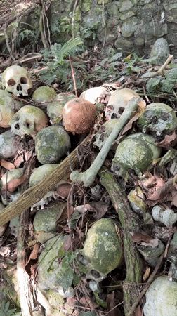 Ancient open-air burial site with weathered remains in Kintamani