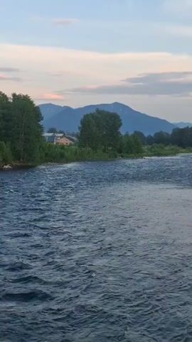 The video shows a wide, fast-flowing river with choppy water. On the left bank, there is a dense line of green trees, with a few larger trees scattered amongst them. In the background, there are hills or mountains with a light purple hue. A building with a brown roof is visible between the trees. The sky is a pale blue with some wispy clouds, tinged with pink and orange, suggesting it might be sunrise or sunset. The overall scene is one of a natural, somewhat wild landscape.