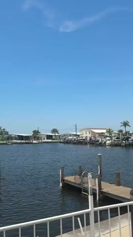 The video shows a wide shot of a calm, dark body of water with a wooden dock extending into it from the right foreground. The dock has several wooden posts and a metal railing. In the background, across the water, there is a line of buildings, some with white roofs and others with yellow roofs. Several boats are docked in front of these buildings. There are also palm trees and other vegetation visible. The sky is a clear, bright blue with a few wispy white clouds. The scene appears to be a marina or waterfront residential area on a sunny day.