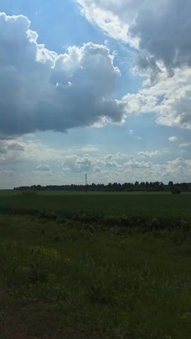 The video shows a view of a rural landscape with a vast green field under a partly cloudy sky. The camera appears to be moving, possibly from a vehicle, as evidenced by slight blurring and the shifting perspective of the foreground. Tall grass and various green plants fill the immediate foreground and middle ground. In the distance, a dark line of trees forms the horizon, with a few utility poles and what appear to be distant buildings or structures visible. The sky is a bright blue with large, fluffy white clouds interspersed with smaller, scattered clouds. Sunlight intermittently breaks through the clouds, casting subtle shadows on the landscape. A faint reddish-orange lens flare is visible in the lower left quadrant of the frame, suggesting the presence of a light source outside the frame or the camera itself. There are no people or distinct actions visible in the video.