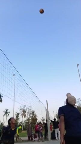 A group of people are playing volleyball. Two individuals are prominently featured near a volleyball net, one in the foreground and another in mid-air, jumping to spike the ball. The ball is visible in the air above the net. The background shows trees and a clear sky.