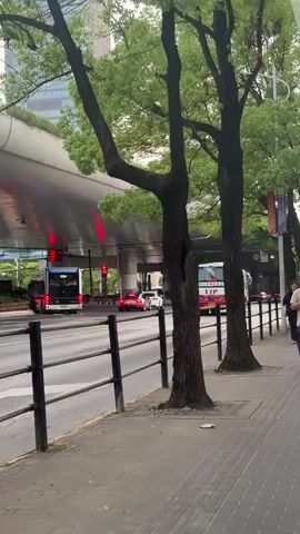 The video shows a sidewalk alongside a city street. The street has several lanes of traffic and an overpass above it. There are trees lining the sidewalk, as well as a black metal railing separating the sidewalk from the road. The traffic light in the distance is red. A man walks on the sidewalk, looking at his phone. Next, a woman walks on the sidewalk, also looking at her phone and talking.  A bus, several cars and a van can be seen in the road. The sky is overcast.