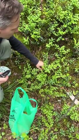 A person wearing a black long-sleeved shirt and light-colored pants is kneeling in a forest. They are holding a knife and a mushroom, and appear to be cleaning or preparing the mushroom. A bright green plastic bag is on the ground in front of them, with some items inside. The ground is covered in green plants and moss. The person is focused on the mushroom in their hands.