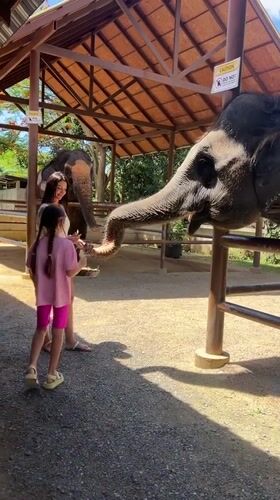 Woman, child feed elephant at Thailand sanctuary