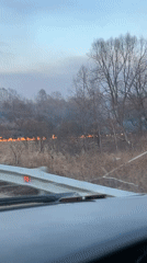 Field fire burns along roadside near Zelvino, Russia