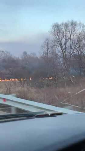 Field fire burns along roadside near Zelvino, Russia
