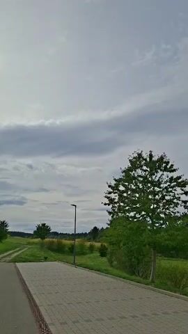 The video shows an outdoor scene with a paved walkway in the foreground. A mature tree with green leaves is visible in the middle ground, and two lampposts are present. The background consists of a grassy field, trees, and a cloudy sky. The camera pans slightly to the right, offering a view of the landscape.