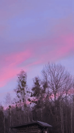Witness documents sunset sequence over rural Belarus landscape