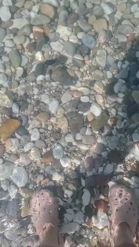 The video begins with a close-up shot of a pebble-strewn seabed underwater. The pebbles are of various sizes and colors, and the water is clear, allowing them to be easily seen. As the camera pans up, the surface of the water comes into view, reflecting the sky and creating shimmering patterns. The view then expands to show a tranquil ocean scene. The water is a calm blue-green, and the horizon is marked by a distant mountain range under a partly cloudy sky. The overall impression is one of a peaceful and serene coastal environment.
