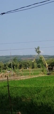 The video shows a landscape with a clear blue sky. In the foreground, there are power lines. To the right, there is a grassy area. In the middle ground, there is a dirt path that runs through a field of crops, possibly rice paddies. There are also some banana trees and other vegetation. In the background, there are hills covered with trees. There are some structures that appear to be small shelters or agricultural buildings scattered throughout the field. There is also a motorbike parked to the right of the path. The video is shot in a portrait orientation and is slightly tilted.