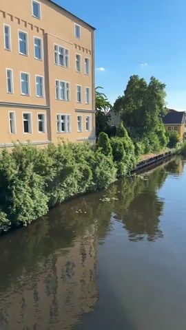 The video shows a canal with a building on the left side and trees on both sides. The sun is shining brightly in the sky, and its reflection is visible on the water. The water is dark and calm, with some lily pads floating on the surface. The building on the left is a light brown, multi-story structure with white windows. The trees are lush and green, and they appear to be in full bloom. The sky is blue and clear, with a few white clouds. The video appears to have been shot from a bridge or an elevated position, as it offers a panoramic view of the canal and its surroundings. There are no people visible in the video, nor are there any obvious signs of human activity. The overall impression is one of peace and tranquility, with the natural beauty of the canal and its surroundings being the main focus.