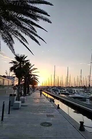 The video begins with a shot of a marina at sunset. Palm trees line a paved walkway on the left, and a person is walking away from the camera. The right side of the frame shows a harbor filled with numerous sailboats and some smaller motorboats. The sun is low on the horizon, casting a warm glow across the sky and reflecting on the water. The camera pans slightly to the right, focusing more on the boats. A large, older-style sailboat with a black flag at its masthead is prominently featured. The video ends on this shot.