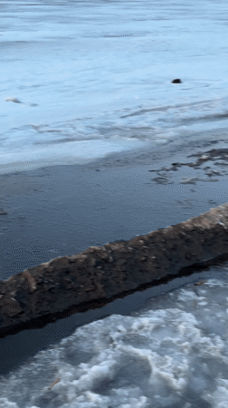 Winter sunset walk with dog on frozen Izhevsk Pond