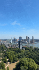 Aerial tour of Rotterdam's waterfront, harbor, and river infrastructure