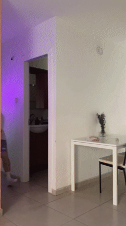 Woman's afternoon in Tel Aviv: selfies, flowers, dogs, spaghetti