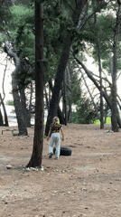 Child attempts tire-wrapping activity in Montenegro pine forest
