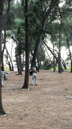 Child attempts tire-wrapping activity in Montenegro pine forest