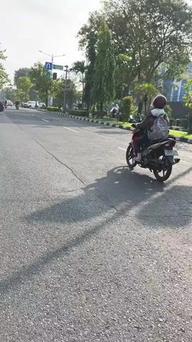The video shows a daytime outdoor scene on a paved road. A person wearing a red helmet and a backpack rides a black motorcycle down the road, casting a long shadow. The road is bordered by a sidewalk with a row of trees and some buildings in the background. The sky is visible and appears clear with some sunlight. Other vehicles and trees are also present in the scene, suggesting a moderately populated urban or suburban environment. The camera angle is low and appears to be following the motorcycle.