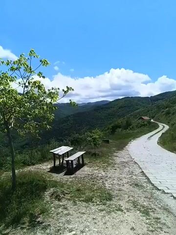 The video shows a scenic view from a high vantage point.  A Bulgarian flag waves in the wind atop a pole. To the side of the flag, a young tree stands on a grassy patch, near a simple wooden table and bench set. The backdrop is a panorama of rolling hills covered in lush green forests. The sky is a clear blue, dotted with fluffy white clouds.  In the distance, a flat plain is visible. The camera pans slowly, showcasing the breadth of the landscape.