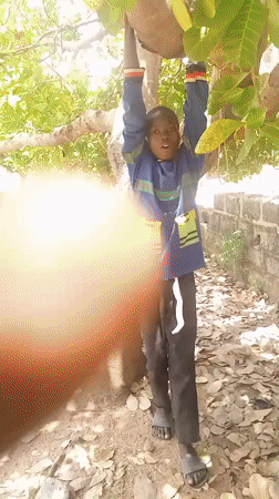 Daily life moments captured across Nigerian communities