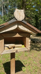 Owl-topped little free library spotted in Bulgarian forest clearing