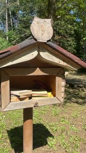 Owl-topped little free library spotted in Bulgarian forest clearing