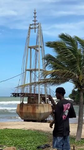 The video features a coastal scene in Walgama, Sri Lanka, on a bright, sunny day with a clear blue sky.

The primary subject is a young man, seen from behind, wearing a black t-shirt with a pink and white graphic design on the back and denim shorts. He is holding a smartphone, seemingly engaged with it, perhaps taking photos or filming.

The scene transitions from a close-up of the man to a wider shot panning across the beach and coastline. In the foreground, there's green vegetation, a sandy beach, and crashing ocean waves. A large, weathered metal structure, resembling an old pier or navigation beacon, stands partially submerged in the water on the left side of the frame.

As the camera pans right, a long concrete pier or walkway extends out over the water towards a lush, green hillside. Perched atop this hill, surrounded by dense tropical foliage and other buildings, is a prominent, gleaming white Buddhist stupa (dagoba) with a golden finial, characteristic of Sri Lankan temple architecture. A tall palm tree stands near the man, swaying slightly in the breeze.

The overall setting is a picturesque beachfront, combining natural beauty with cultural landmarks. The waves are moderately active, suggesting a breezy day. No discernible text is clearly visible on the man's shirt or within the environment.