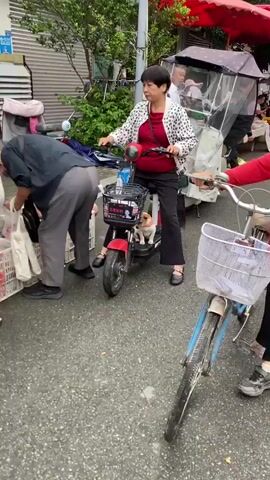 A small, light brown and white dog with a pink collar sits on the floorboard of a red and black electric scooter. The scooter has a black basket mounted on the handlebars. A sign with Chinese characters and a picture of a young man is attached to the basket. The dog is facing forward and looking down. In the background, the legs and lower torso of two people are visible. One person is wearing black pants and black and gold shoes. The other person is wearing black pants and black shoes with a decorative gold buckle. The scooter is parked on a paved surface. The lighting suggests it is daytime.
