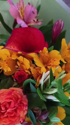 The video is a close-up shot of a bouquet of flowers. The bouquet contains various types of flowers in different colors, including red calla lilies, orange roses, yellow alstroemeria, and pink alstroemeria. The flowers are arranged in a dense and colorful display. The lighting is soft and natural, highlighting the textures and colors of the petals. The background is out of focus, suggesting the bouquet is the main subject of the shot.