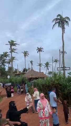 The video shows a coastal scene with numerous palm trees swaying in the wind. In the foreground, people are gathered on a reddish-brown dirt path. Some are dressed in traditional South Asian attire, including hijabs and loose-fitting clothing. Others are in casual wear. A child is seen in the lower right corner. The path leads uphill towards a thatched-roof structure, possibly a small cafe or stall, surrounded by lush green foliage. Further in the background, a body of water, likely the ocean, is visible, with waves lapping at the shore. Buildings, including a multi-story structure, are situated along the coastline. The sky is overcast with dramatic clouds. The camera pans and tilts, capturing different perspectives of the location and the people enjoying the scenery. The overall atmosphere appears to be a tourist spot, possibly during an outing or a visit to the beach.