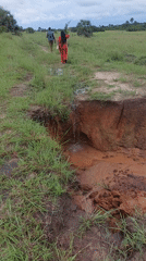Couple observed in rural field near Dar es-Salaam