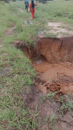 Couple observed in rural field near Dar es-Salaam