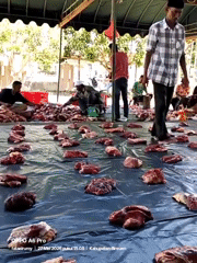 Community meat processing operation documented in Blangkutacoh, Indonesia
