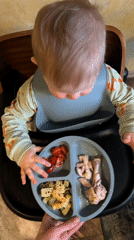 Baby in highchair presented with plate during mealtime