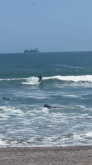 Three surfers enjoy waves near Arica, Chile