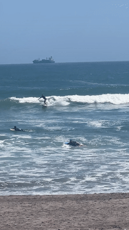 Three surfers enjoy waves near Arica, Chile