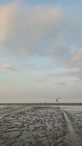 The video shows a low tide scene at what appears to be a muddy beach or estuary. The sky is partly cloudy with a gentle blue hue and some pinkish clouds, suggesting either early morning or late afternoon. In the foreground, the wet, muddy ground is textured with shallow pools of water and some debris, including a piece of driftwood. A thin channel of water runs through the mud. Further back, a path is visible, marked by two flags on poles, one red and one white. In the distance, a low line of trees or foliage can be seen along the horizon. The scene then shifts to show more of the muddy expanse and the water. The last few frames show a brick wall or structure in the foreground, with more of the muddy shore and vegetation in the background. Several motorcycles are parked along a dirt path next to the wall, and a few people are visible, some sitting on or near the motorcycles, and others walking. The light indicates it is either sunrise or sunset.