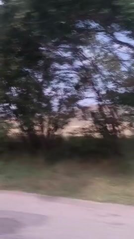 The video shows a time lapse of a rural landscape from a moving vehicle. The scene includes rolling hills covered in dry grass and scattered trees. A few man-made structures, including a building and what appear to be utility poles, are visible. There is a road in the foreground. The sky is partly cloudy with blue patches. A light-colored car and a person are briefly visible near a signpost. The overall impression is of a quiet, open country setting.
