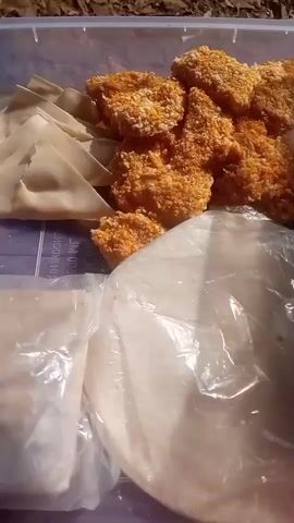 The video shows a collection of food items in a clear plastic container. In the top right, there are several pieces of breaded and fried chicken nuggets. To the left of the nuggets are several uncooked spring roll wrappers, folded into triangles. In the bottom left, there is a small plastic bag containing a white substance, likely a dip or sauce. To the right of that bag, and partially obscuring it, is a stack of round, flat food items wrapped in plastic, possibly tortillas or flatbread. The background appears to be outdoors, with a blurry, brownish-green surface, possibly dirt or ground. The lighting suggests it is daytime.