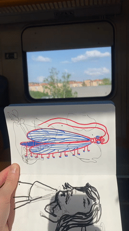 Train passenger sketches insects and figures near Moscow