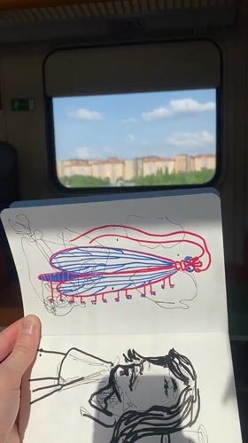 Train passenger sketches insects and figures near Moscow