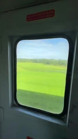The video shows a view from a train window looking out at a bright green rice field under a blue sky with scattered clouds. There is a small stream or irrigation channel running through the field. The train appears to be moving, as the scenery outside the window is subtly shifting. A red warning sticker is visible on the wall above the window, with text in Vietnamese and English that reads "DON'T OPEN THE DOOR BEFORE THE TRAIN STOP".