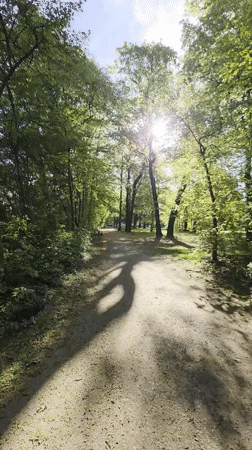 Morning walk through Munich park with dog captured