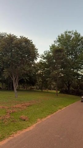 A man is jogging along a paved path in a park, pushing a stroller containing a baby. The park has a grassy area with scattered trees on one side, and more trees in the background. The sky is a light blue.