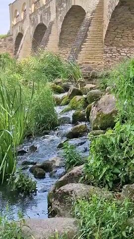 A narrow stream flows over rocks and through lush green vegetation. An arched stone bridge with multiple openings is visible in the background. The water is clear, and sunlight filters through the leaves, creating dappled patterns on the rocks and water. The scene appears to be a natural landscape with man-made architecture integrated into it.