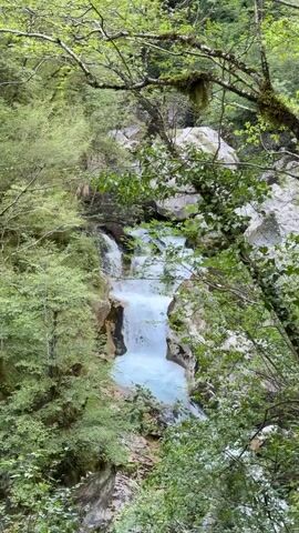 This is a medium shot video of a waterfall cascading down rocks in a forest. The water is a bright turquoise color and appears to be moving quickly. The surrounding trees are lush and green, and the sunlight filters through the leaves, creating a dappled effect on the water and rocks. The scene is peaceful and serene, with the sound of the waterfall providing a natural soundtrack.